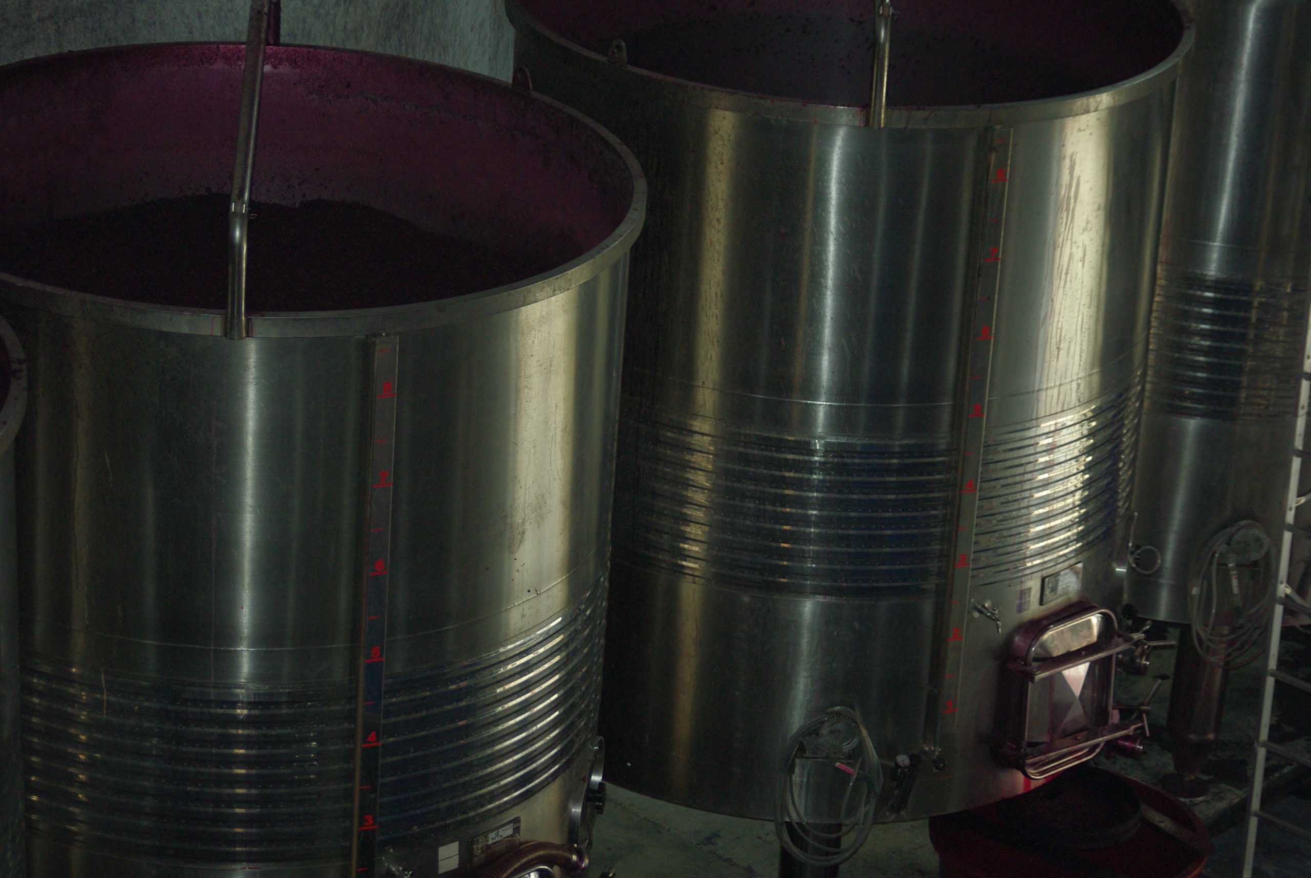 Finca Cienvacas Oak-Aged 2016 - Imagen 9